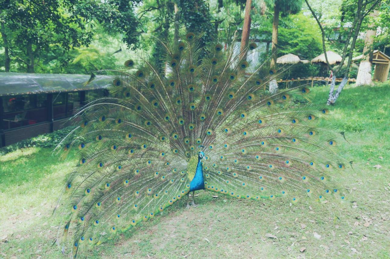 Shangri-La Hangzhou - The Back Garden Of West Lake Εξωτερικό φωτογραφία